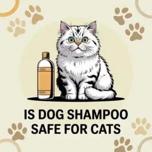 Is dog shampoo safe for cats