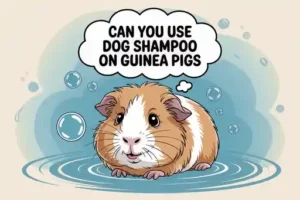  Can you use dog shampoo on guinea pigs