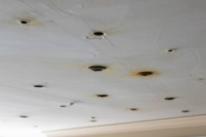 small dark spots on ceiling