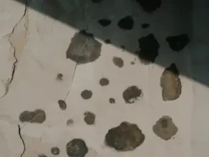 Freckles and dark spots