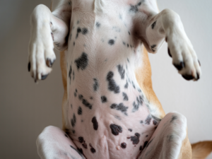 does glycolic acid help with dark spots